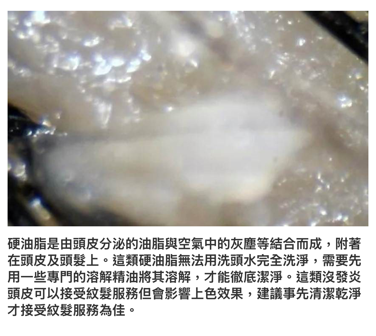 img-9886.jpeg